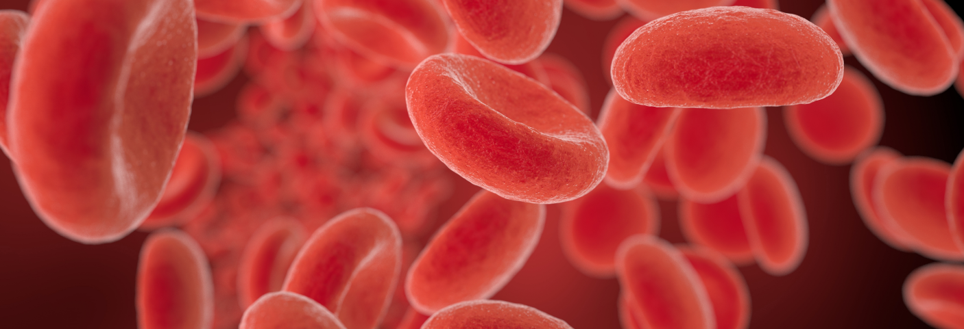 Glóbulos vermelhos, informativo vitamina B12