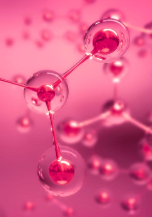 Vitamina B9
